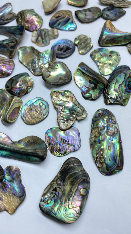 مشخصات وسفارش صدف آبالون جواهری درشت