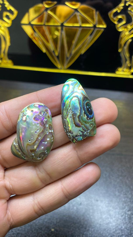 مشخصات قیمت وخریدصدف آبالون اصل