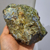 راف شجرپاییزی وعقیق سلیمانی