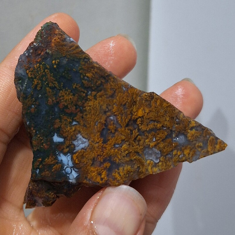 سنگ شجرمنظره