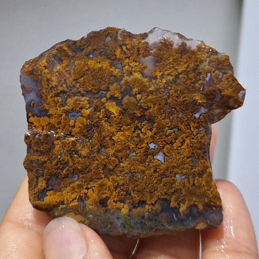 سنگ طبیعی شجرمنظره