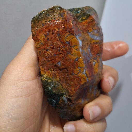 راف تراش نخورده شجرپاییزی درشت