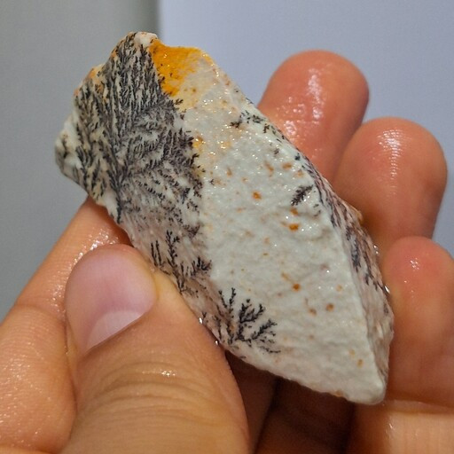 قیمت وخریدسنگ شجردندریتی