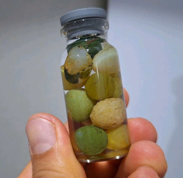 سنگ شانس واقبال وروزی