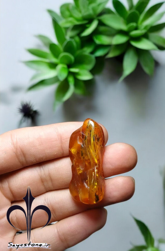 کهربای لهستان