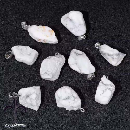 پلاک گردنی هائولیت