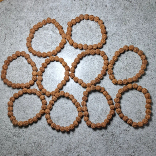 قیمت وخریدرودراکشا