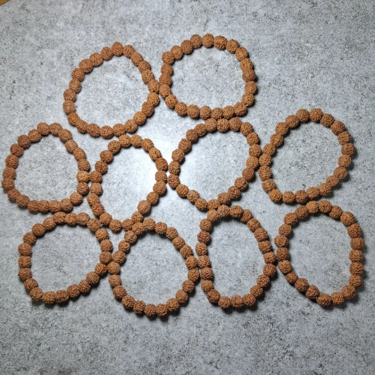 قیمت وخریدرودراکشا