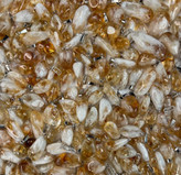 پلاک گردنی سنگ بلورسیترین طلایی افریقا