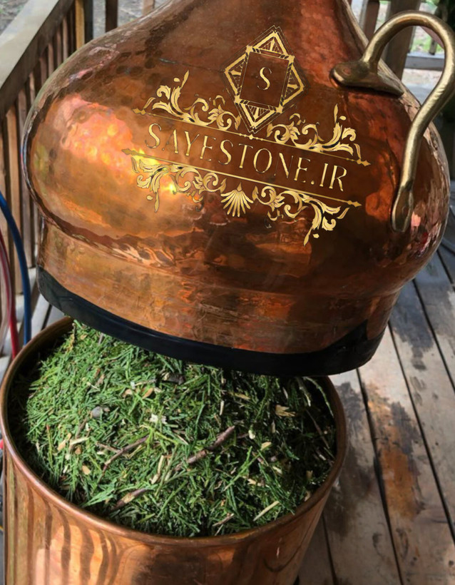 روغن صدرصدخالص رزماری ضدریزش قوی