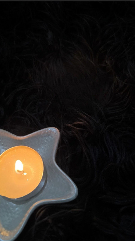 جاوارمری طرح ستاره دریایی