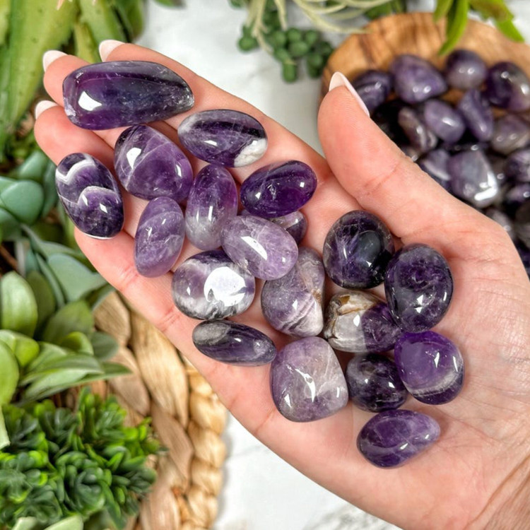 راف تامبل آمیتیست