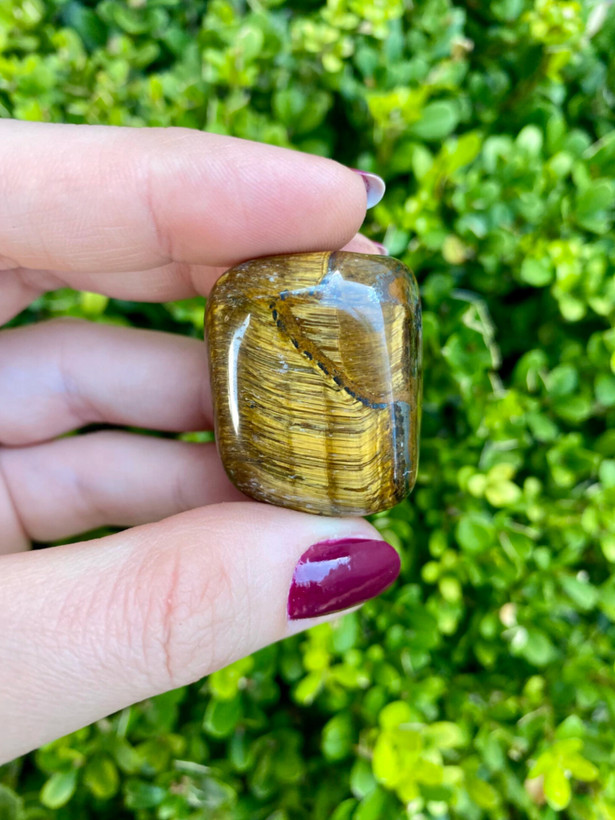 سنگ چشم ببردرجه ۱